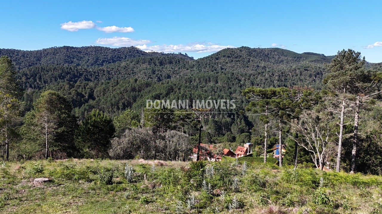 Terreno, 1195 m² - Foto 4
