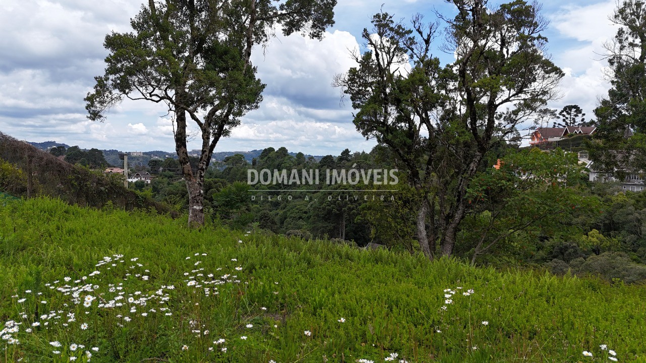Terreno, 1180 m² - Foto 6