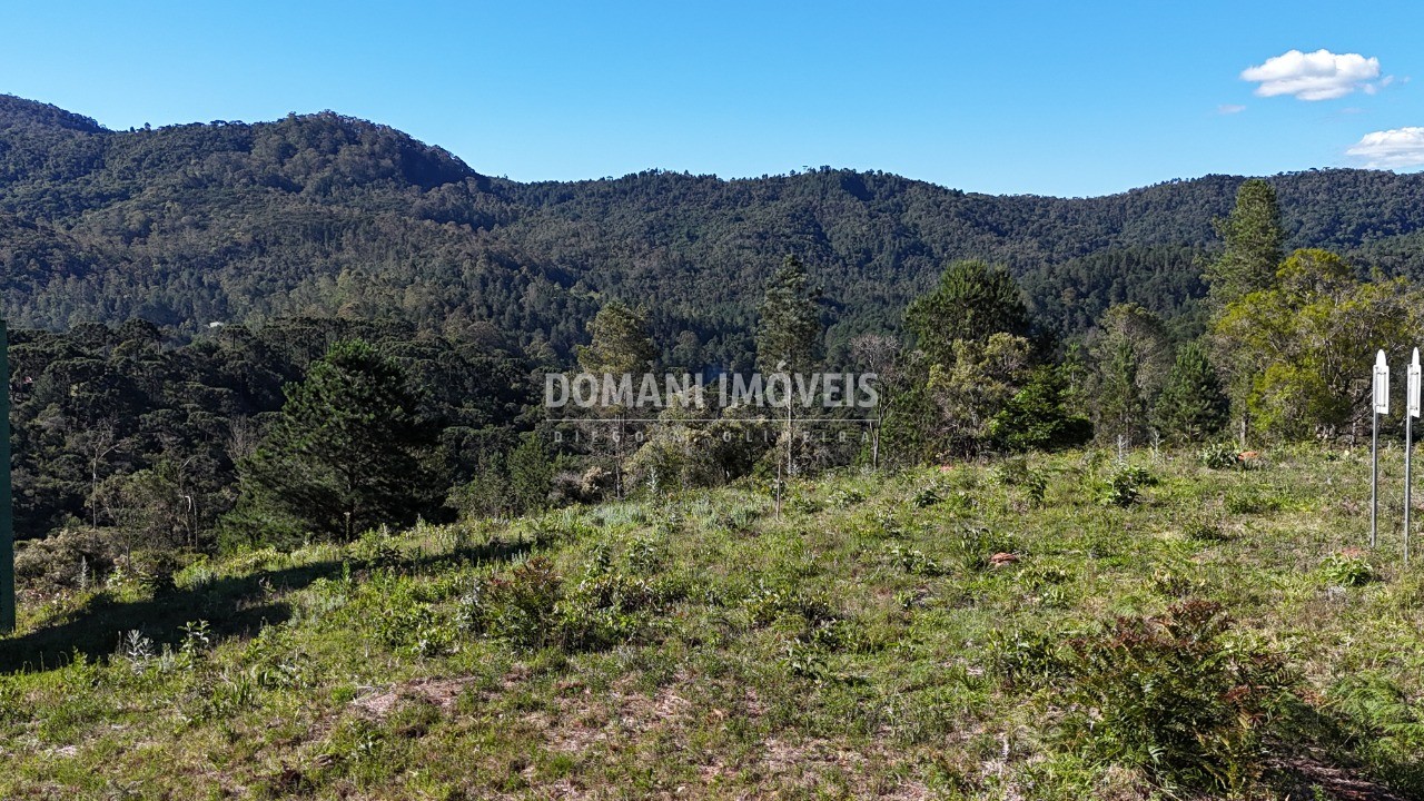 Terreno, 1195 m² - Foto 3