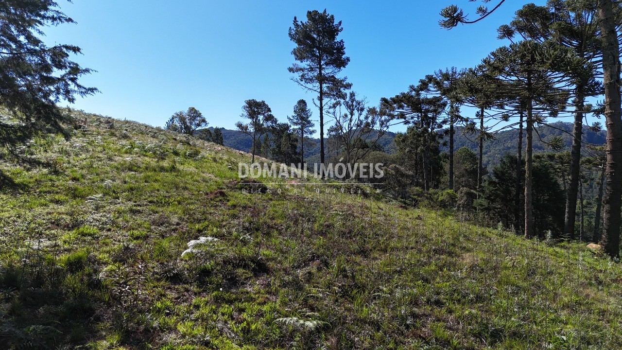 Terreno, 1410 m² - Foto 2