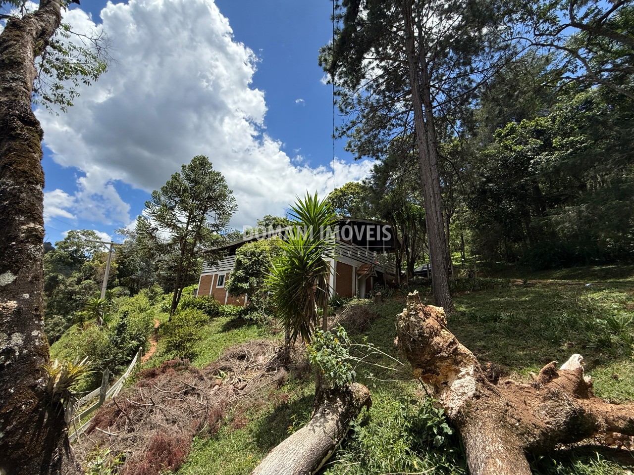 Casa, 3 quartos - Foto 6
