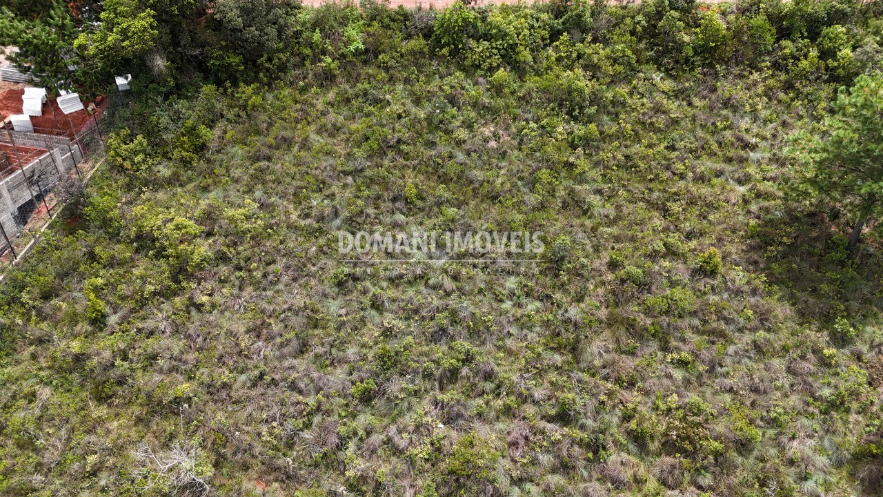 Terreno, 1390 m² - Foto 9