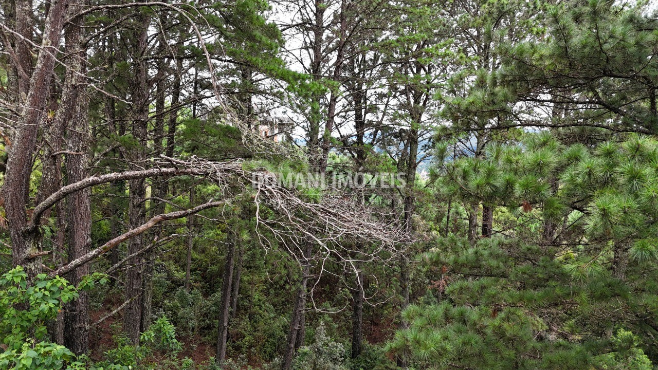Terreno, 2020 m² - Foto 13