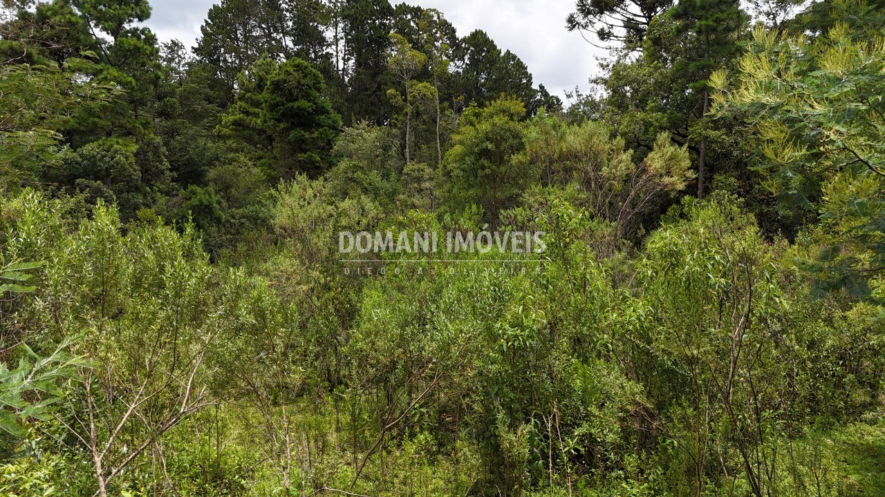 Terreno, 3290 m² - Foto 4