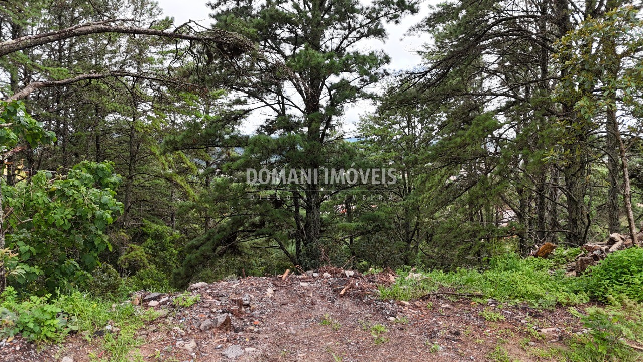 Terreno, 2020 m² - Foto 23