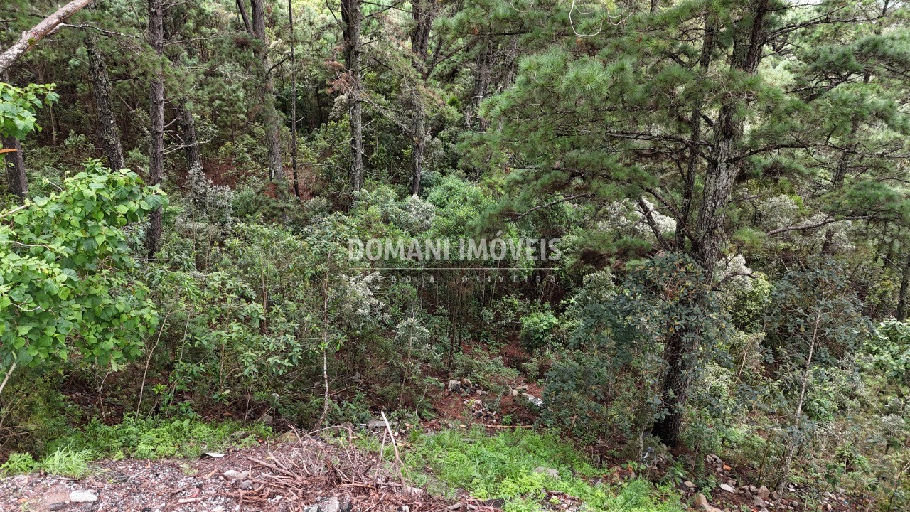 Terreno, 2020 m² - Foto 5