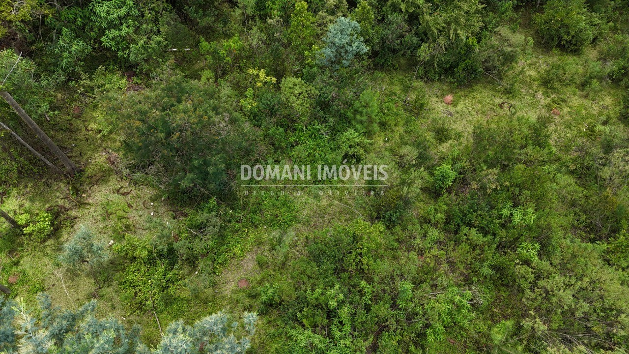 Terreno, 3290 m² - Foto 14