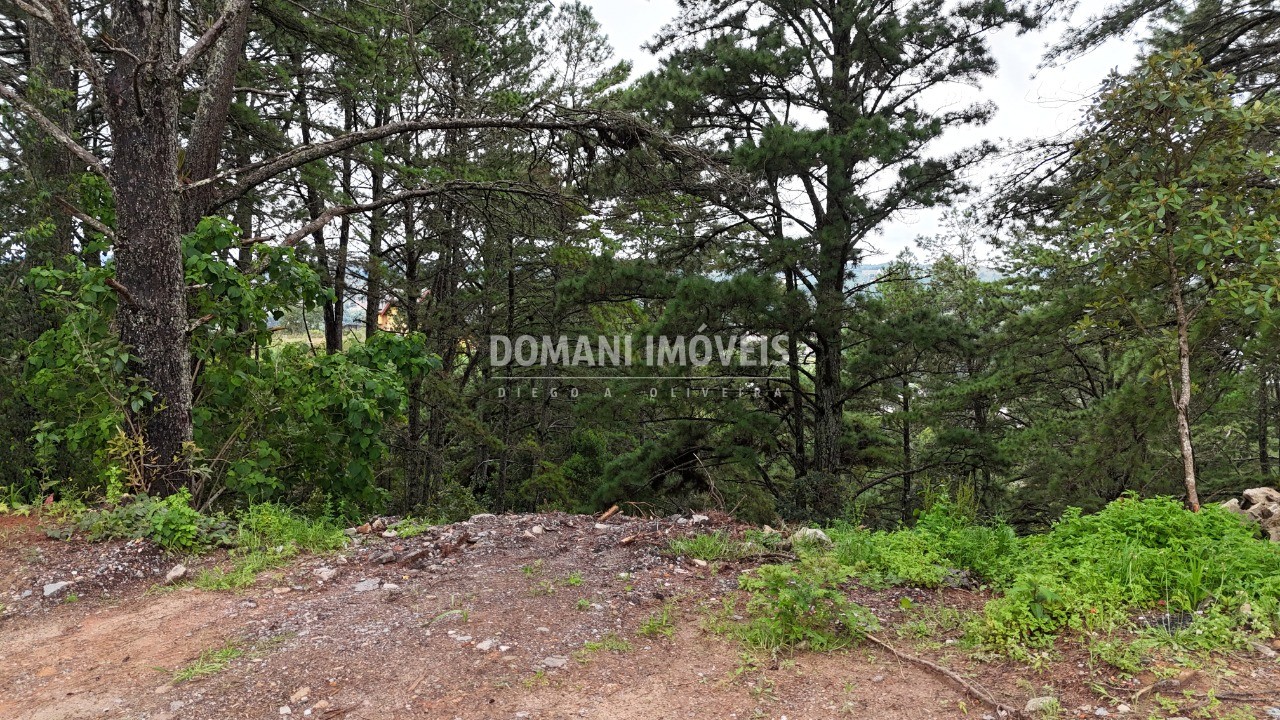 Terreno, 2020 m² - Foto 20