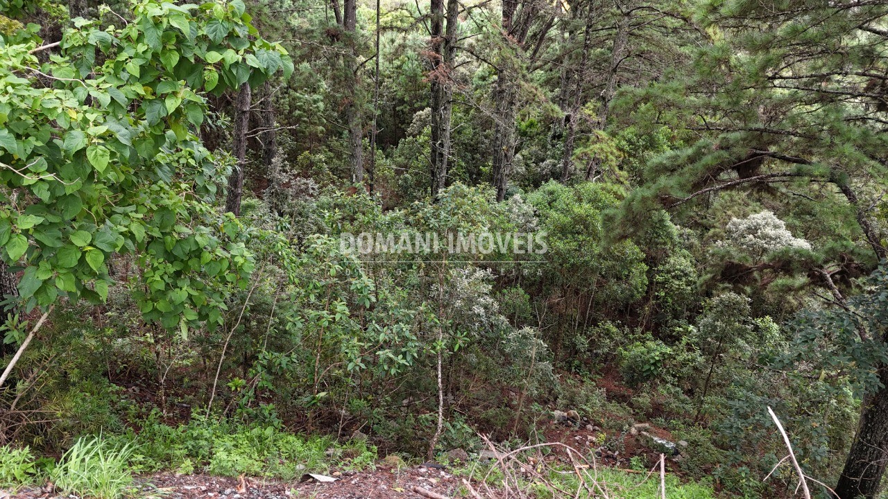 Terreno, 2020 m² - Foto 6