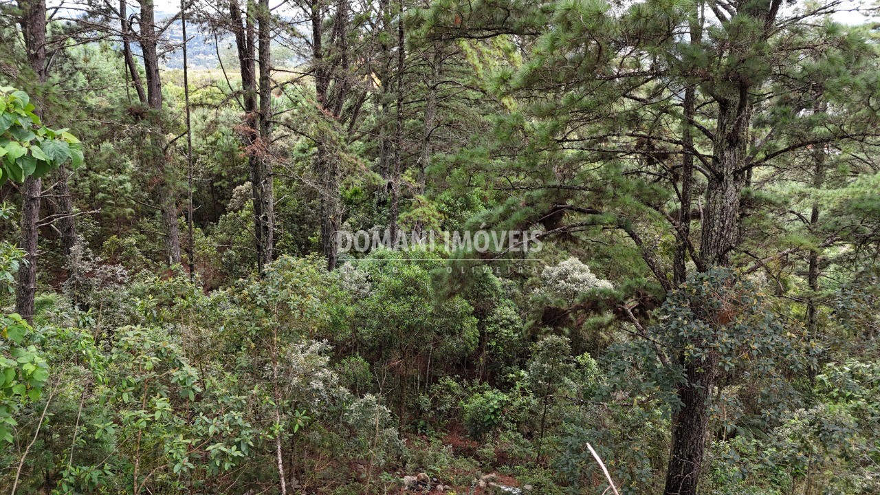 Terreno, 2020 m² - Foto 12