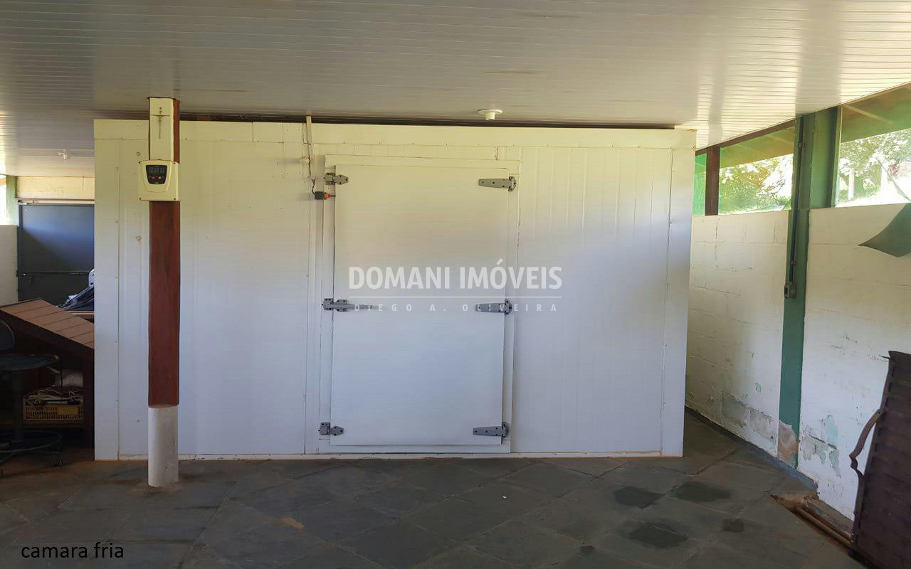 Sítio, 4 quartos - Foto 17