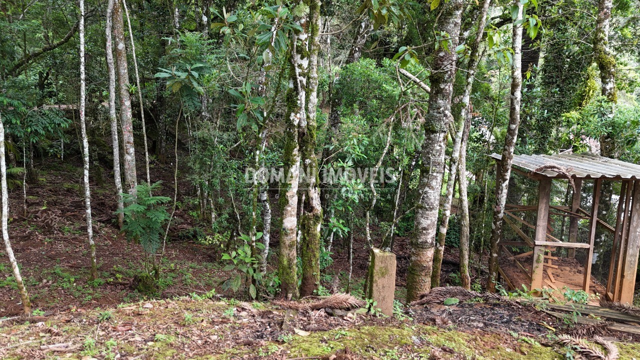 Casa, 4 quartos - Foto 41