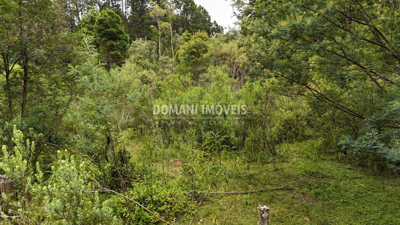 Terreno, 3290 m² - Foto 9