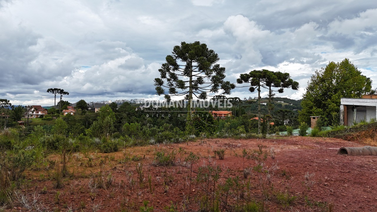Terreno, 1025 m² - Foto 5