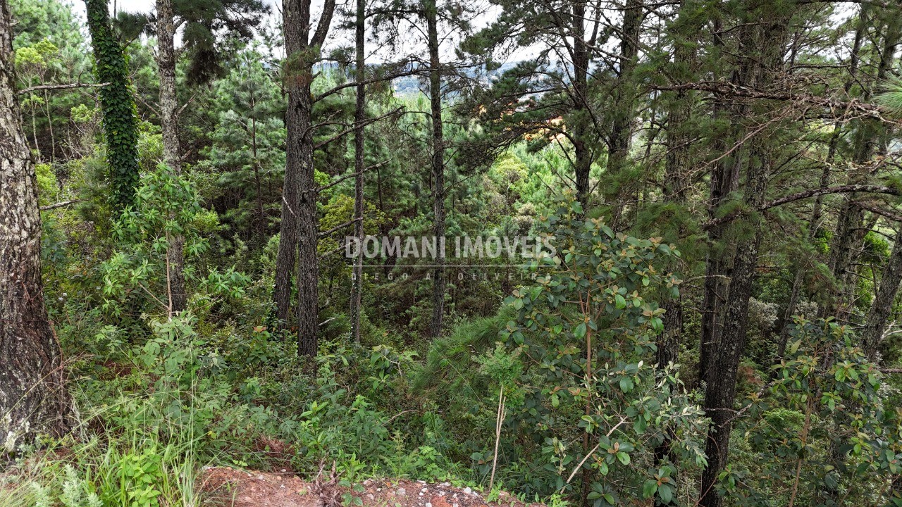 Terreno, 2020 m² - Foto 16
