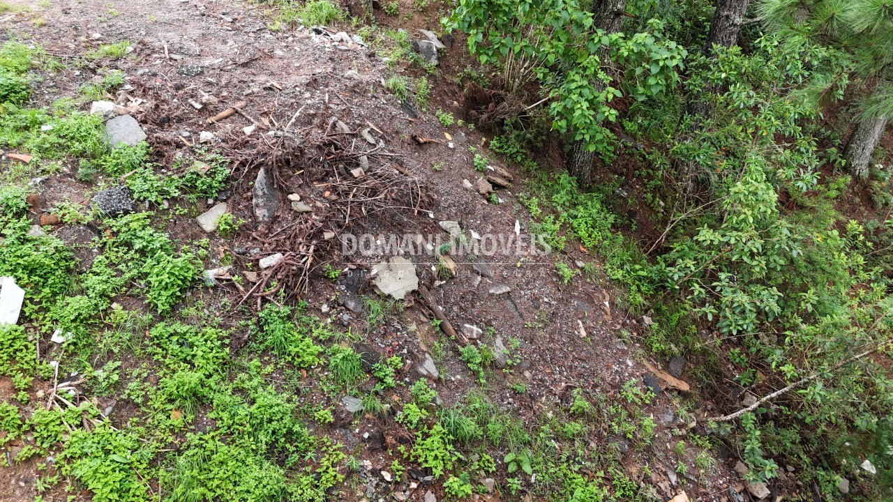 Terreno, 2020 m² - Foto 21