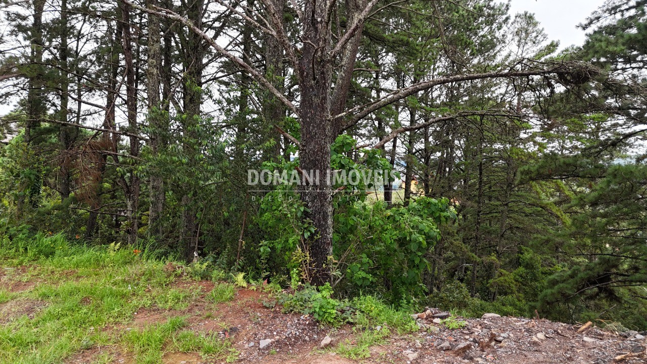 Terreno, 2020 m² - Foto 14