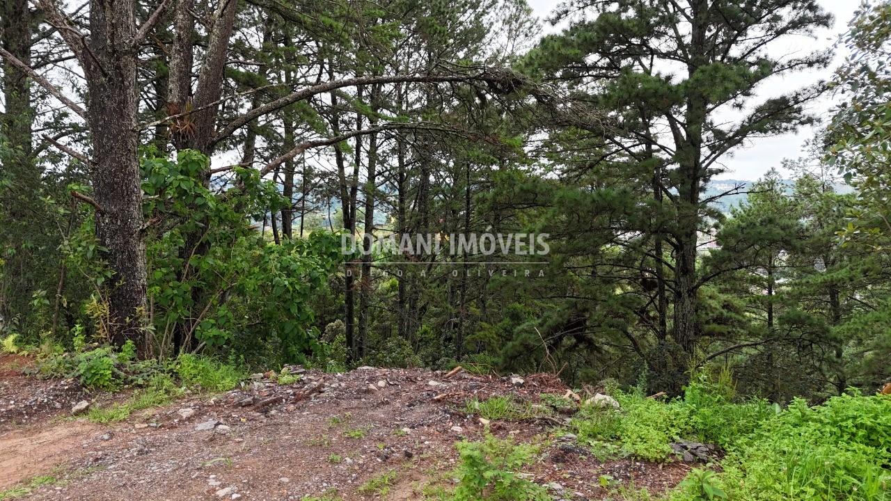 Terreno, 2020 m² - Foto 1