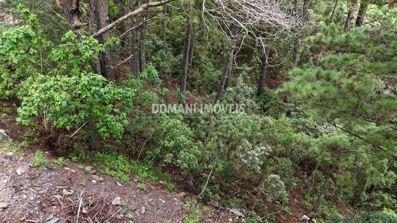 Terreno, 2020 m² - Foto 15
