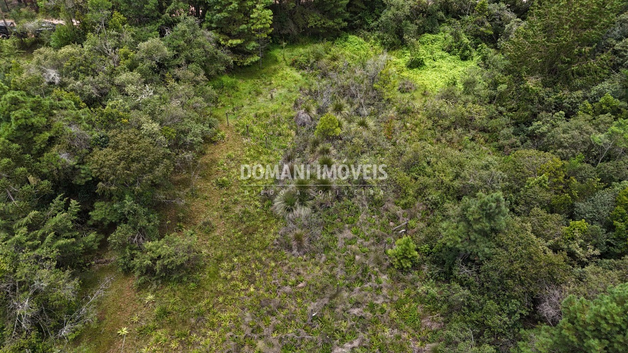 Terreno, 3290 m² - Foto 12