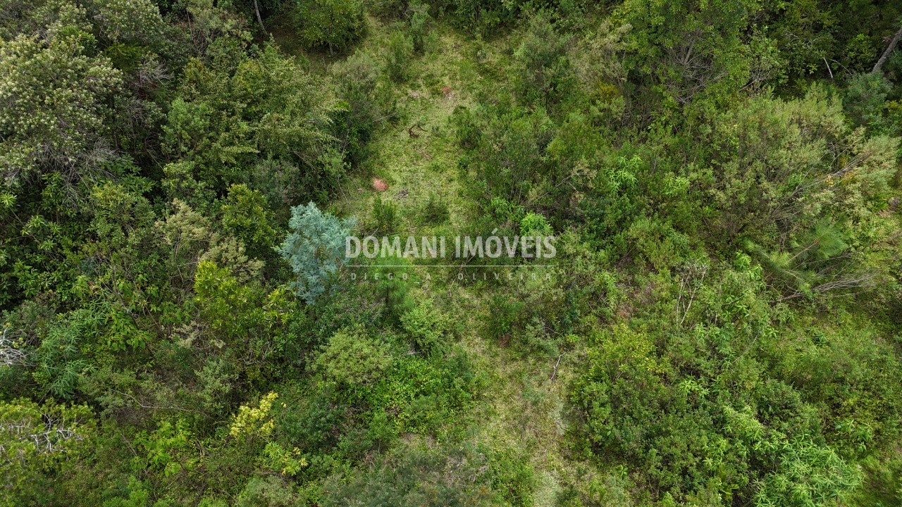 Terreno, 3290 m² - Foto 7