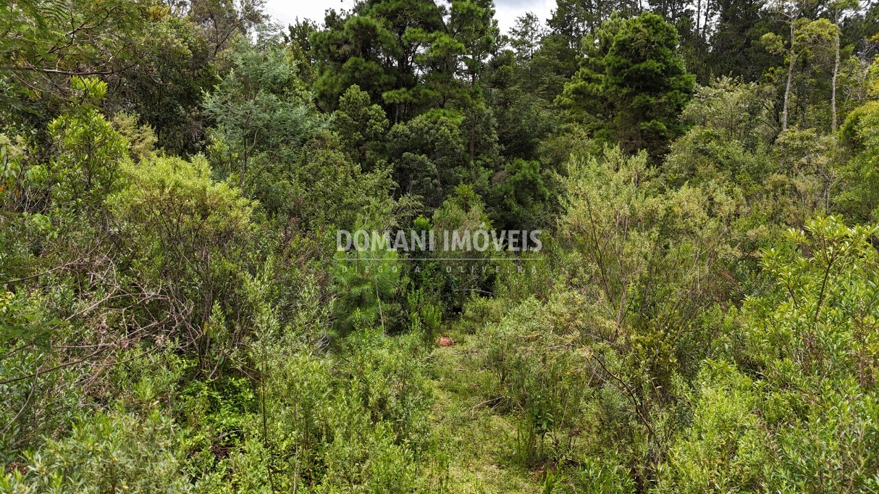 Terreno, 3290 m² - Foto 8