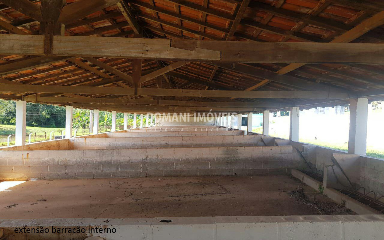 Sítio, 4 quartos - Foto 20