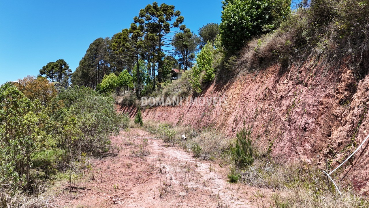 Terreno, 5760 m² - Foto 12