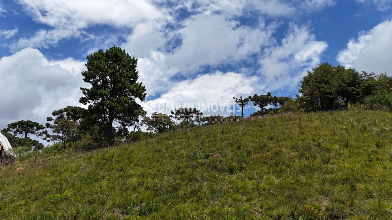 Terreno, 1040 m² - Foto 3