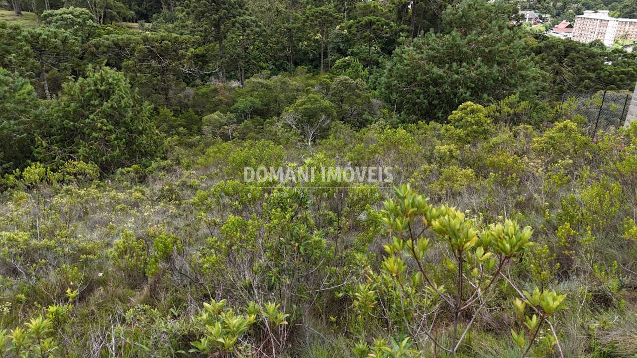 Terreno, 1390 m² - Foto 24