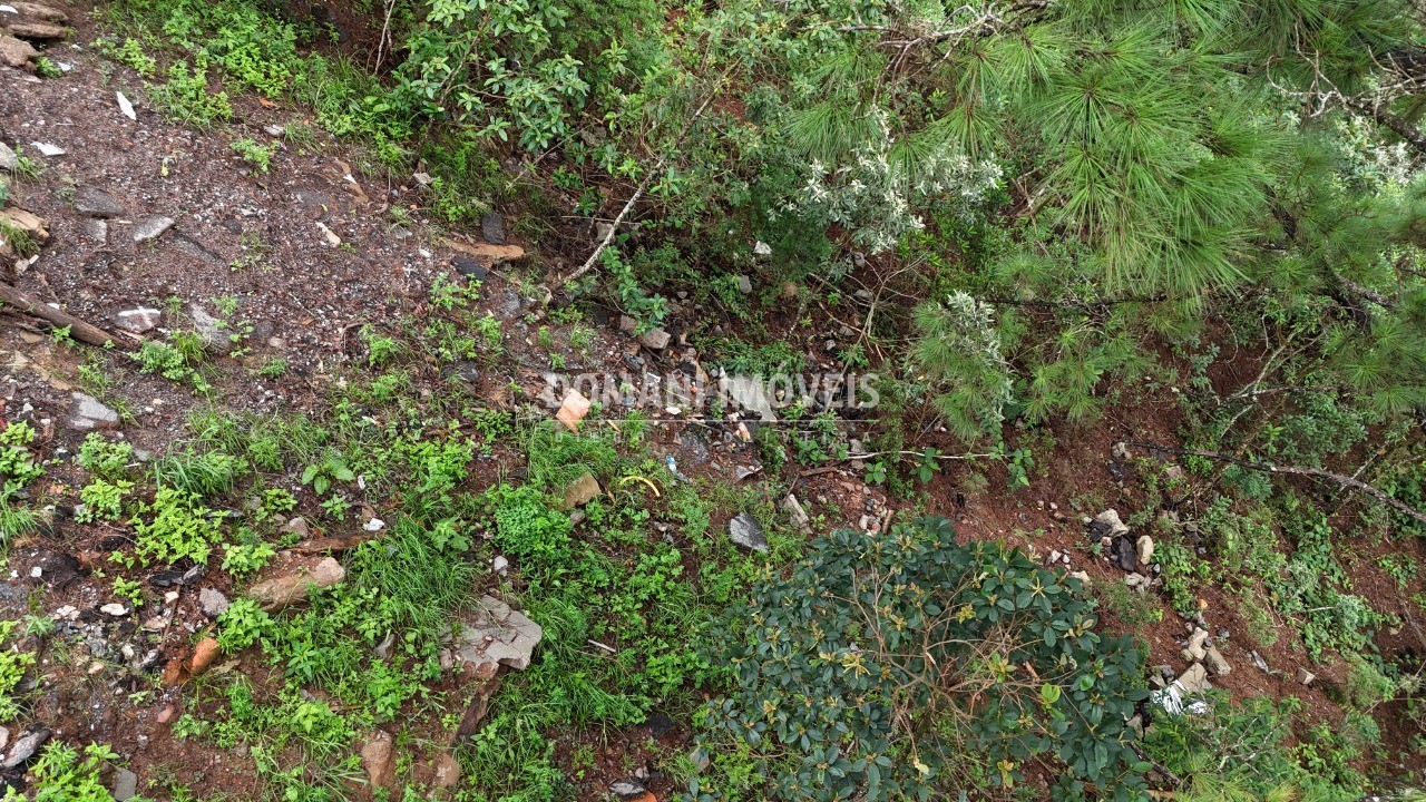 Terreno, 2020 m² - Foto 3