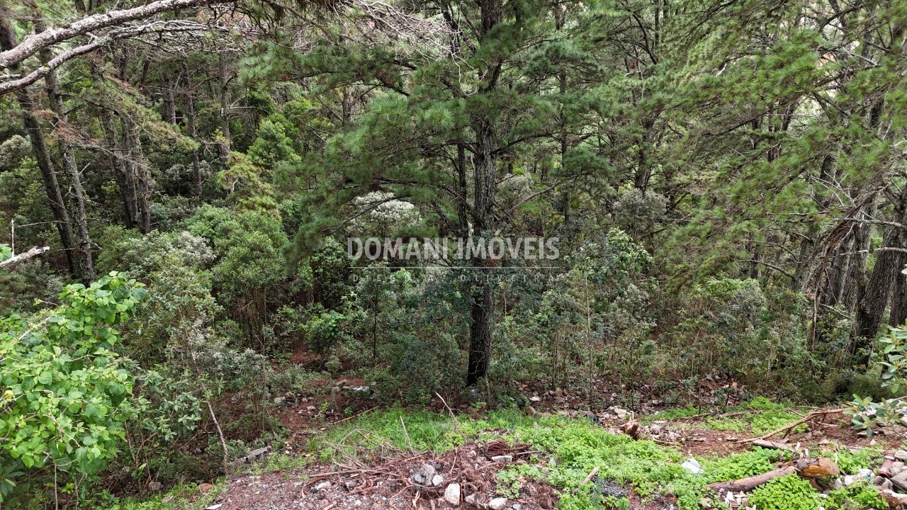 Terreno, 2020 m² - Foto 9