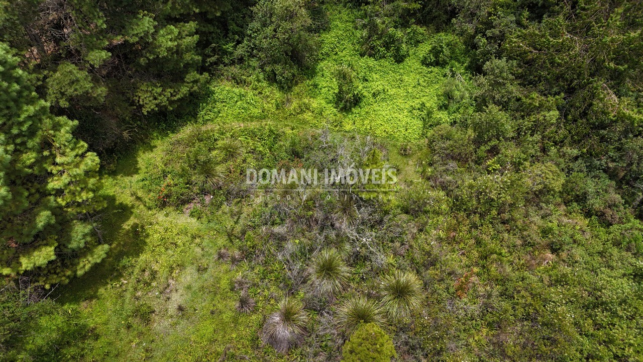 Terreno, 3290 m² - Foto 10