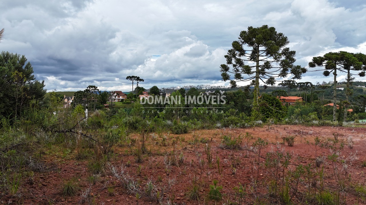 Terreno, 1025 m² - Foto 9