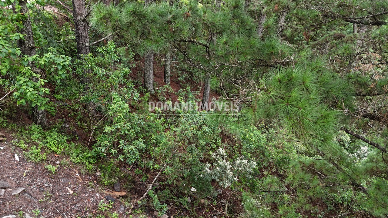 Terreno, 2020 m² - Foto 19