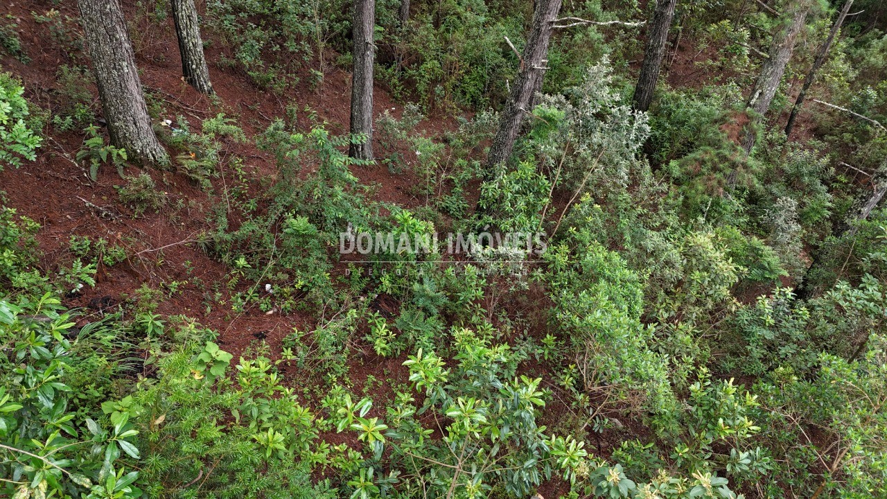 Terreno, 2020 m² - Foto 22