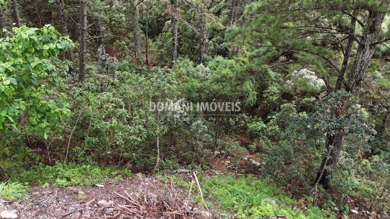 Terreno, 2020 m² - Foto 18