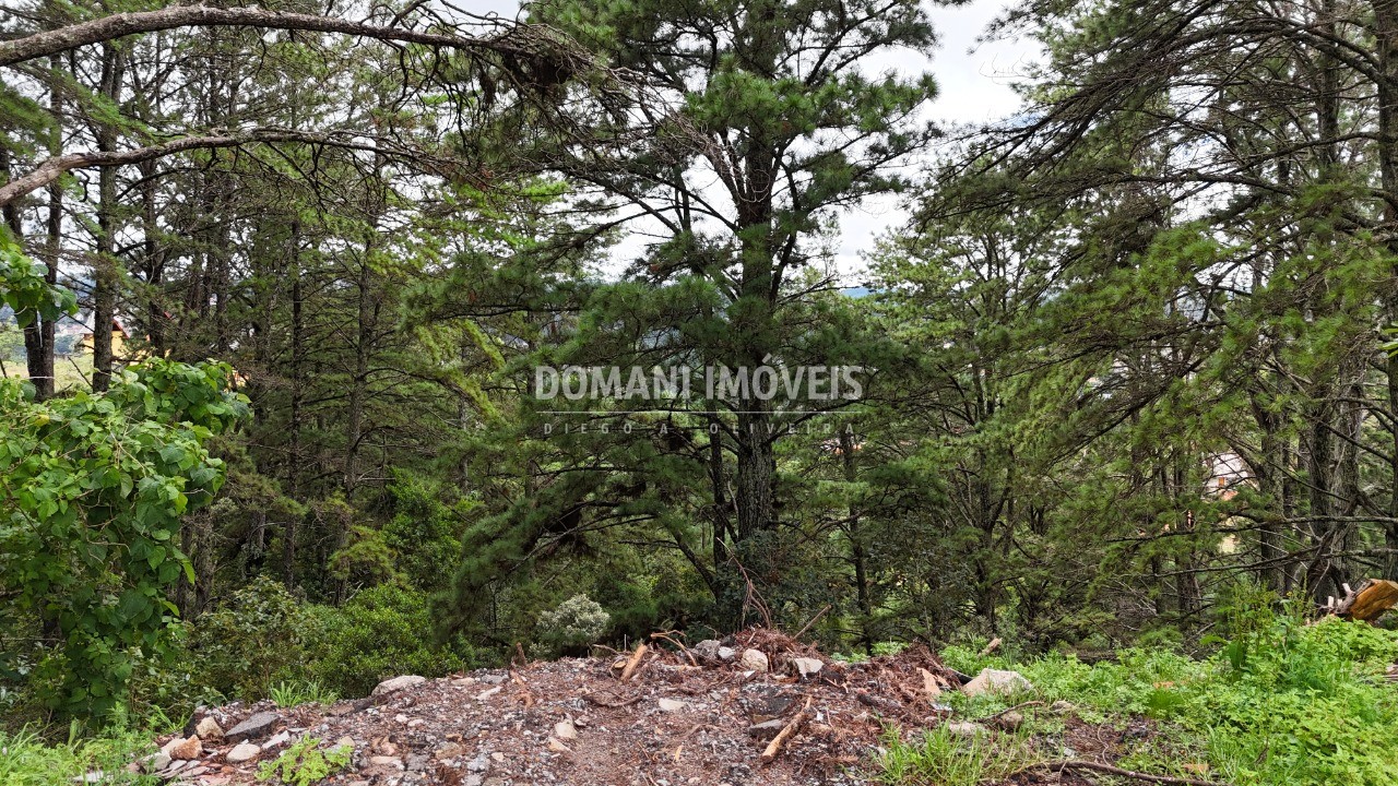 Terreno, 2020 m² - Foto 10