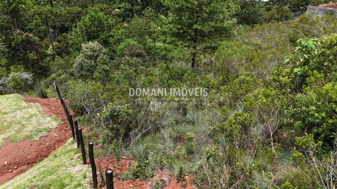 Terreno, 1390 m² - Foto 20