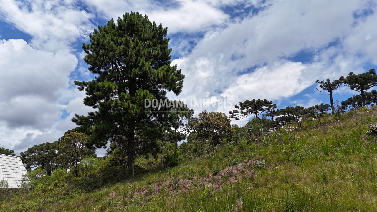 Terreno, 1040 m² - Foto 41