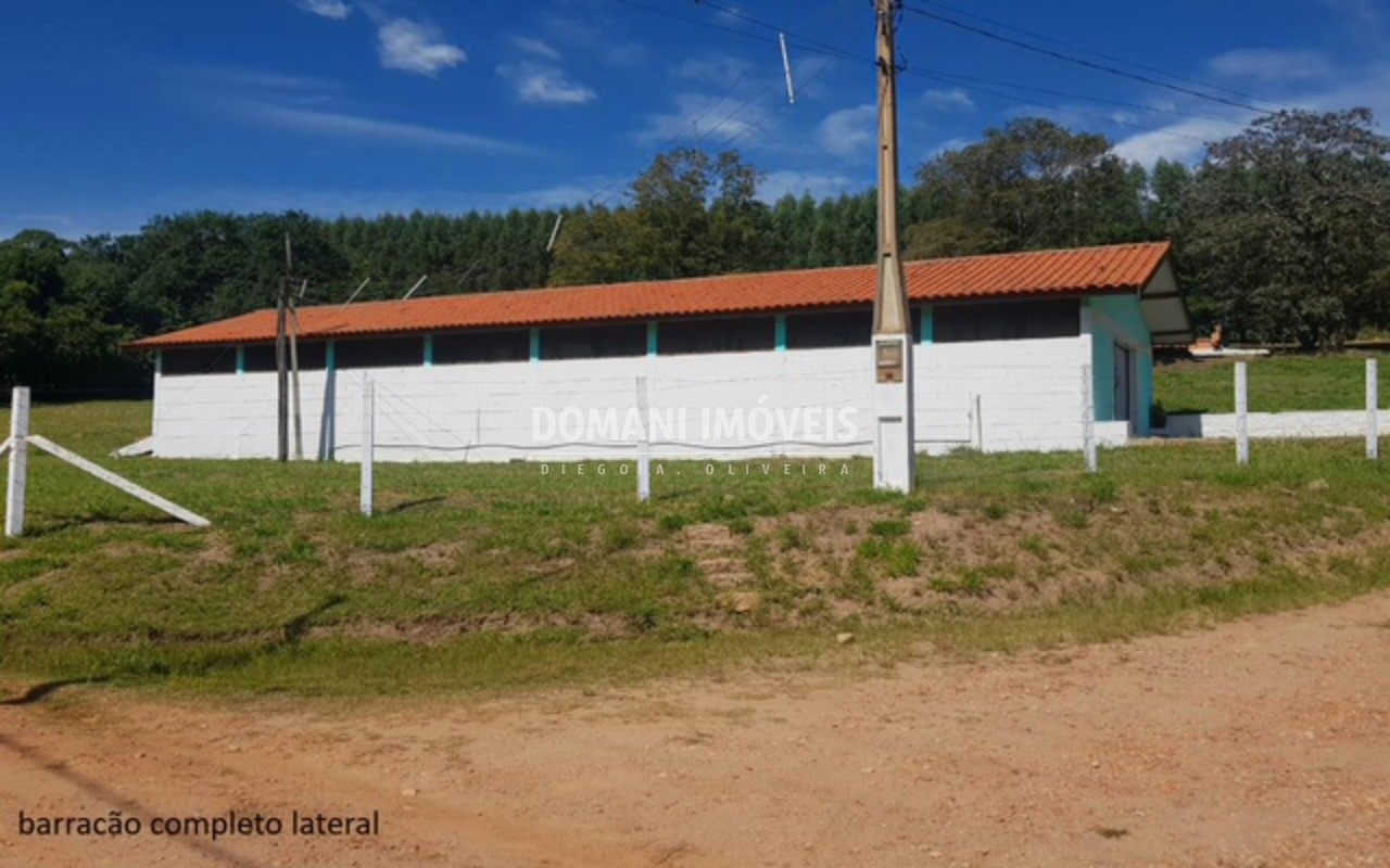 Sítio, 4 quartos - Foto 32