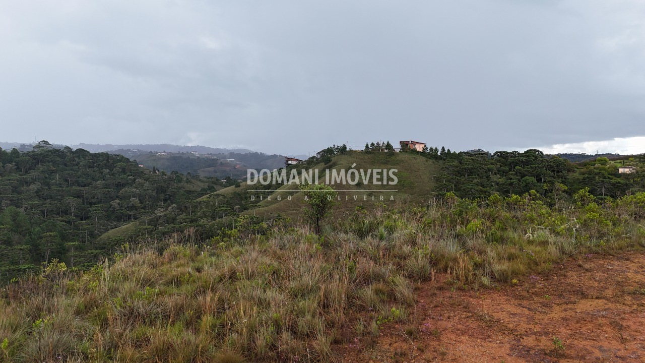 Terreno, 2320 m² - Foto 9
