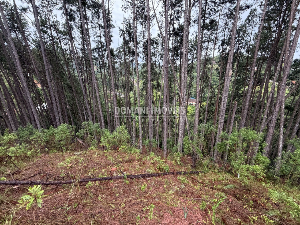 Terreno, 2560 m² - Foto 17