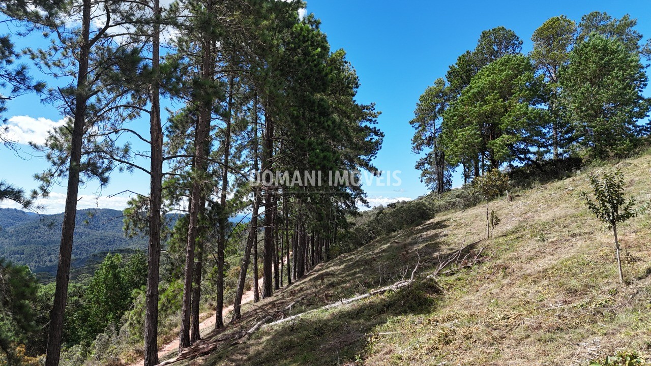 Terreno, 5290 m² - Foto 11