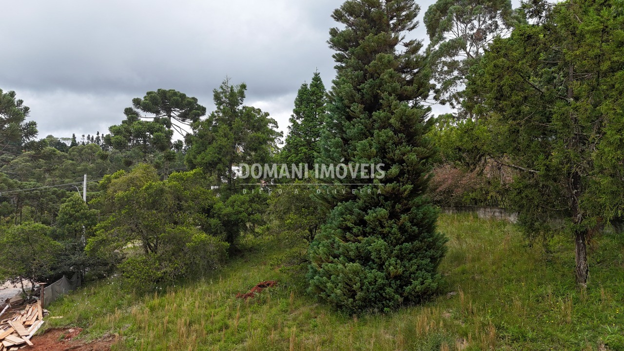 Terreno, 1095 m² - Foto 14