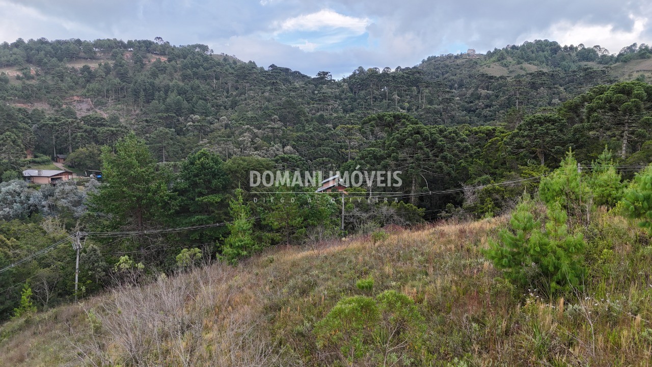 Terreno, 2520 m² - Foto 6