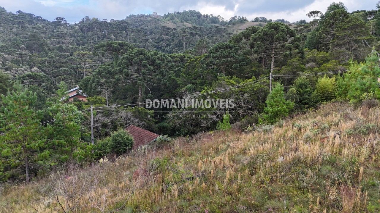 Terreno, 2520 m² - Foto 9