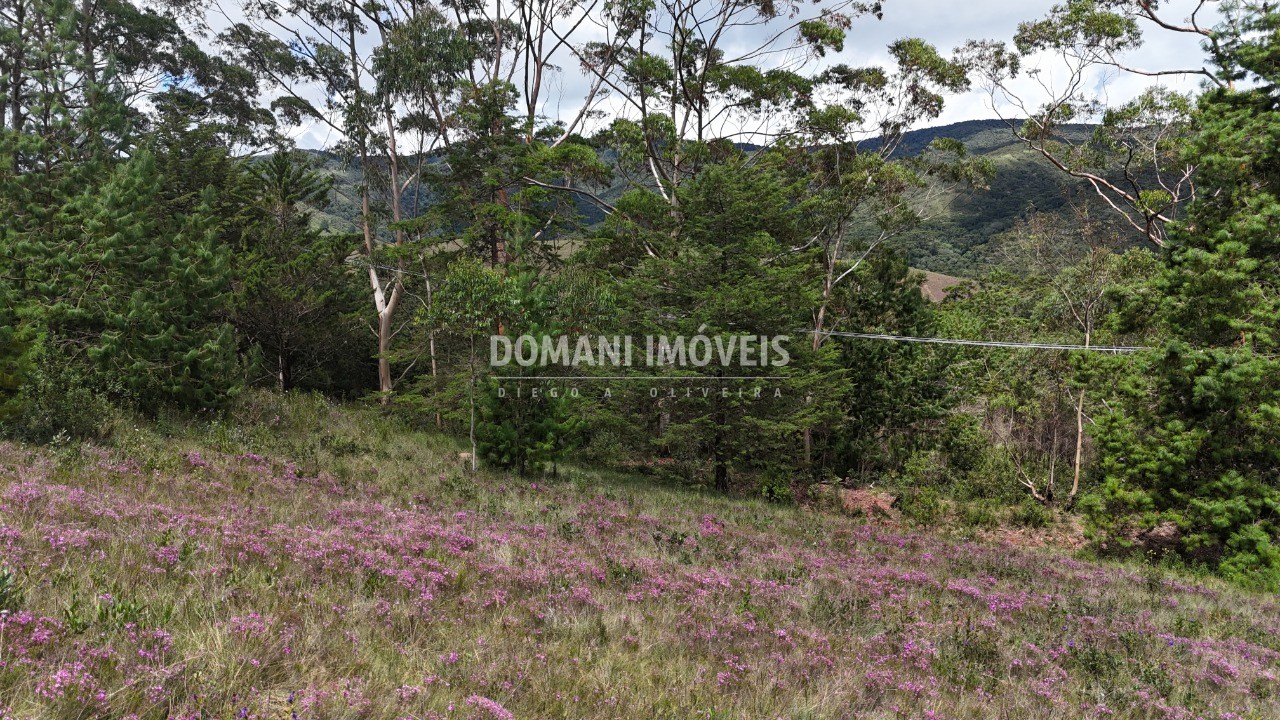 Terreno, 7090 m² - Foto 9