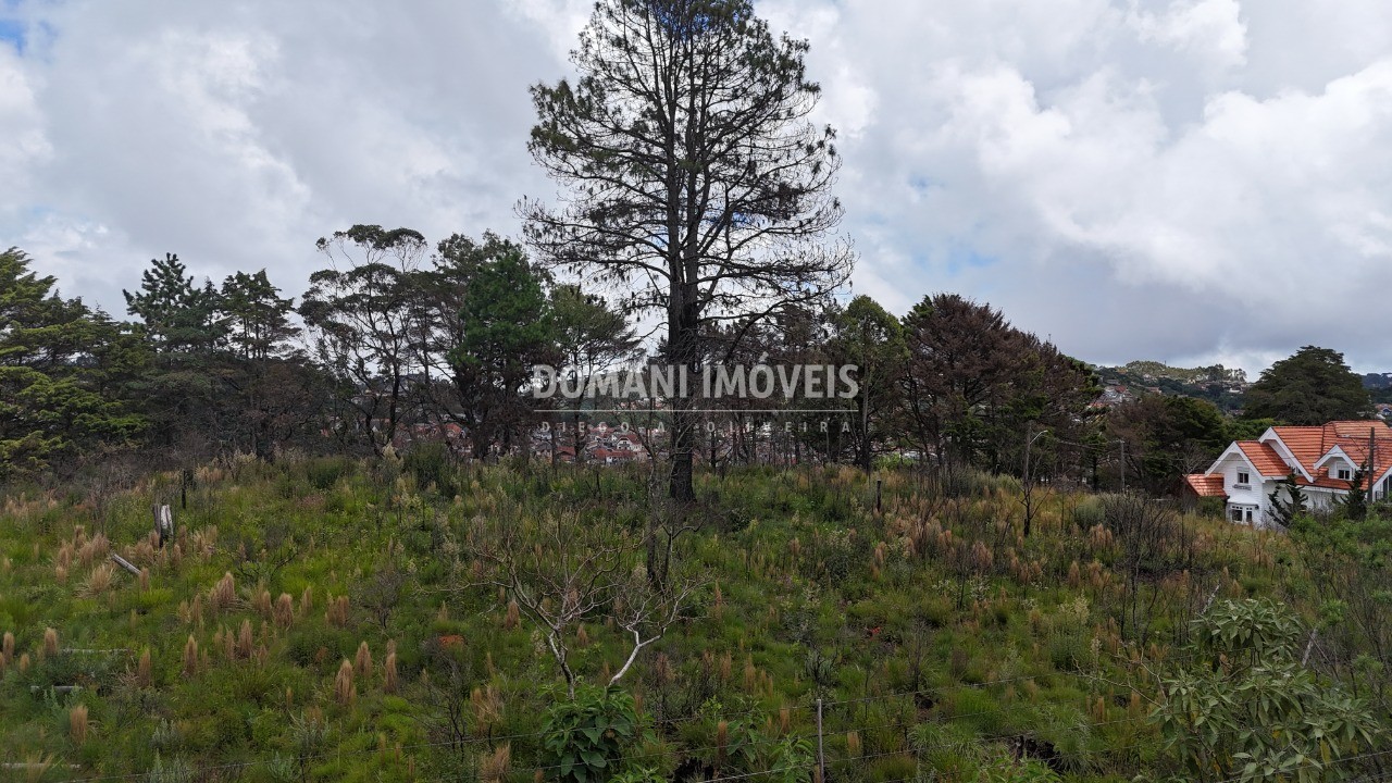 Terreno, 2795 m² - Foto 22