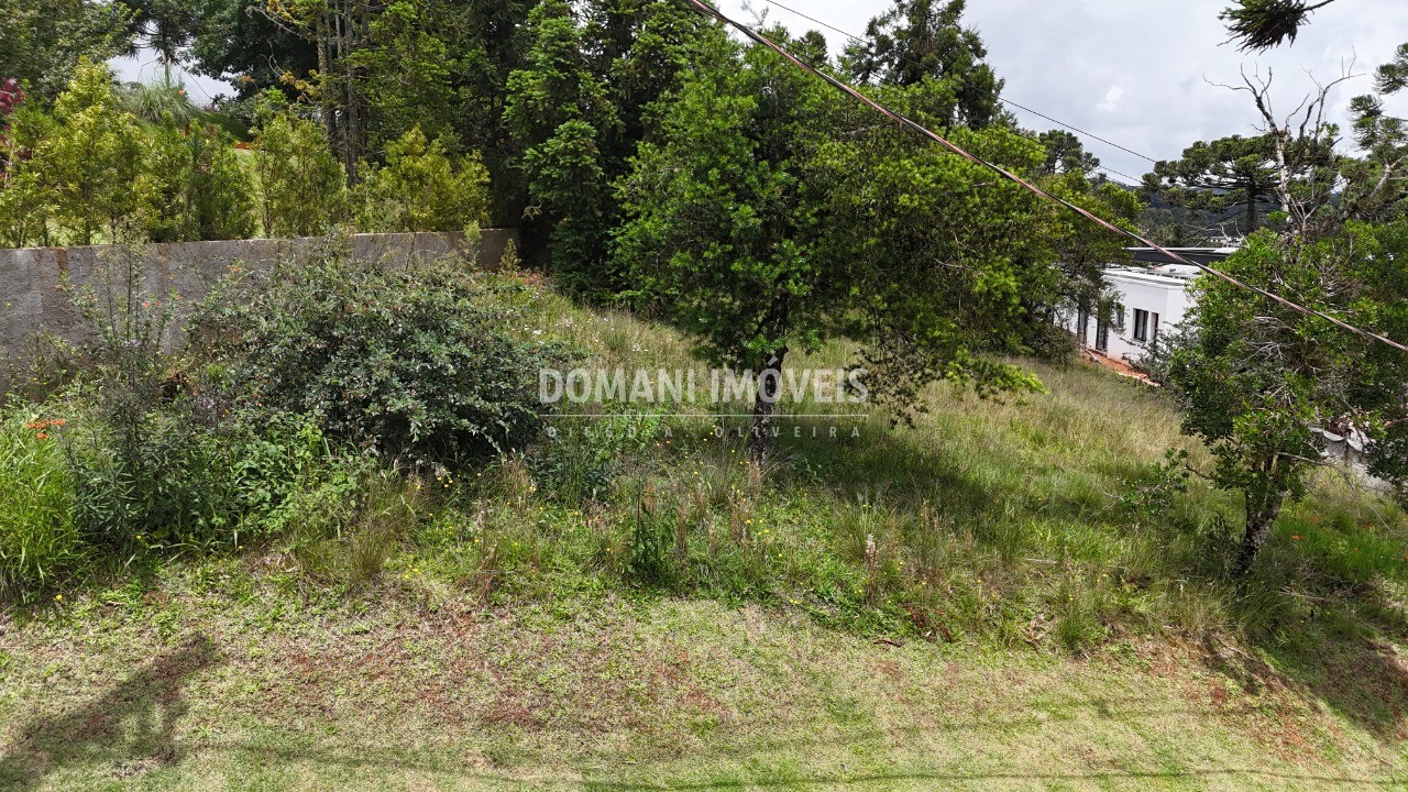 Terreno, 1095 m² - Foto 8
